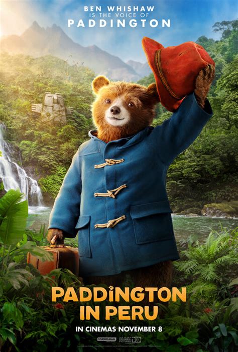 Paddington in Peru 2025