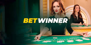 Todo lo que debes saber sobre casa de apuestas Todo lo que debes saber sobre casa de apuestas